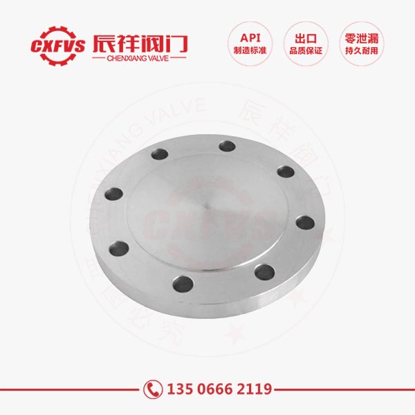 Stainless steel blind flange