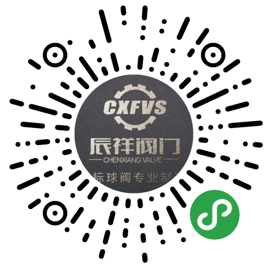 热烈祝贺辰祥阀门有限公司网站和小程序同时上线服务！